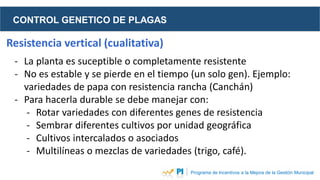 CONTROL GENETICO DE PLAGAS
Programa de Incentivos a la Mejora de la Gestión Municipal
Resistencia vertical (cualitativa)
-...