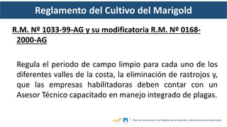 Reglamento del Cultivo del Marigold
R.M. Nº 1033-99-AG y su modificatoria R.M. Nº 0168-
2000-AG
Regula el periodo de campo...