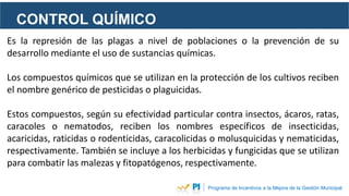 CONTROL QUÍMICO
Programa de Incentivos a la Mejora de la Gestión Municipal
Es la represión de las plagas a nivel de poblac...