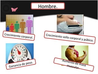 Hombre.
Crecimiento corporal.
Ganancia de peso.
Aumento de masamuscular.
Crecimiento vello corporal y púbico.