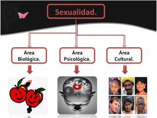 Sexualidad.
Área
Biológica.
Área
Psicológica.
Área
Cultural.