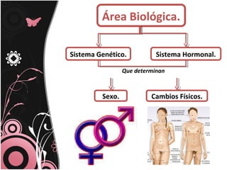 Área Biológica.
Sistema Genético. Sistema Hormonal.
Que determinan
Cambios Físicos.Sexo.