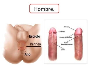 Hombre.