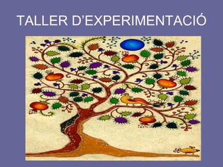 TALLER D’EXPERIMENTACIÓ 