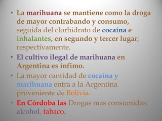 • La marihuana se mantiene como la droga
de mayor contrabando y consumo,
seguida del clorhidrato de cocaína e
inhalantes, en segundo y tercer lugar;
respectivamente.
• El cultivo ilegal de marihuana en
Argentina es ínfimo.
• La mayor cantidad de cocaína y
marihuana entra a la Argentina
proveniente de Bolivia.
• En Córdoba las Drogas mas consumidas:
alcohol, tabaco.
 