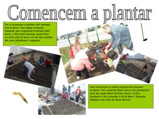 Per a començar a plantar vam barrejar
tota la terra i vam afegir compost.
Després vam organitzar el terreny fent
solcs. L´Eloi amb l’aixada, anava fent
un camí amb la terra i en els dos costats
del camí plantàvem i regàvem.




                                            Vam començar la nostra experiència plantant
                                            enciams. Per a plantar fèiem servir uns plantadors
                                            amb els quals fèiem el forat a terra i a dins
                                            posàvem o bé el planter o bé la llavor. Després
                                            afegíem una mica de terra damunt.
 