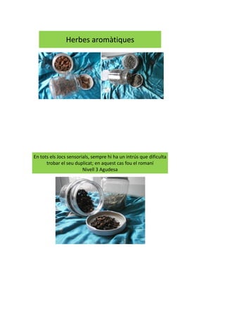 Herbes aromàtiques
En tots els Jocs sensorials, sempre hi ha un intrús que dificulta
trobar el seu duplicat; en aquest cas fou el romaní
Nivell 3 Agudesa
 