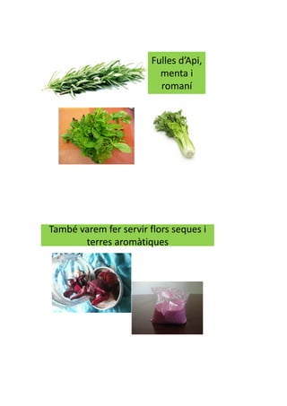 Fulles d’Api,
menta i
romaní
També varem fer servir flors seques i
terres aromàtiques
 