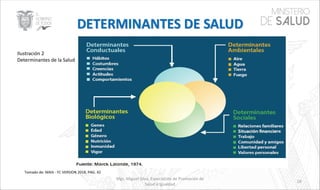 Ilustración 2
Determinantes de la Salud
Mgs. Miguel Silva, Especialista de Promoción de
Salud e Igualdad
Tomado de: MAIS - FC VERSION 2018, PAG. 42
19
 