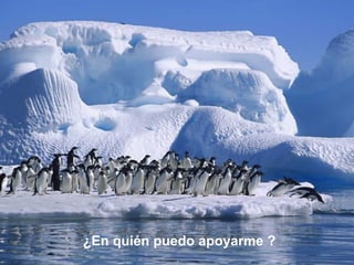 ¿En quién puedo apoyarme ?
 