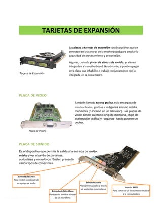 Prof. Martín Ferreyra
TARJETAS DE EXPANSIÓN
Las placas o tarjetas de expansión son dispositivos que se
conectan en las ranuras de la motherboard para ampliar la
capacidad de procesamiento y de conexión.
Algunas, como la placas de video o de sonido, ya vienen
integradas a la motherboard. No obstante, s puede agregar
otra placa que inhabilite o trabaje conjuntamente con la
integrada en la palca madre.
PLACA DE VIDEO
También llamada tarjeta gráfica, es la encargada de
mostrar textos, gráficos e imágenes en uno o más
monitores (o incluso en un televisor). Las placas de
video tienen su propio chip de memoria, chips de
aceleración gráfica y –algunas- hasta poseen un
cooler.
PLACA DE SONIDO
Es el dispositivo que permite la salida y la entrada de sonido,
música y voz a través de parlantes,
auriculares y micrófonos. Suelen presentar
varios tipos de conectores.
Tarjeta de Expansión
Placa de Video
Interfaz MIDI
Para conectar un instrumento musical
a la computadora
Salida de Audio
Para emitir sonidos a través
de parlantes o auriculares
Entrada de Micrófono
Para recibir sonidos a través
de un micrófono.
Entrada de Línea
Para recibir sonidos desde
un equipo de audio.
 