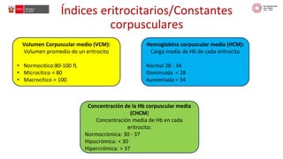 taller tcch anemia.pdf... conceptos, diagnostico y suplementacion | PDF