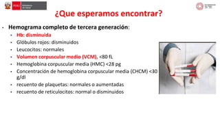 taller tcch anemia.pdf... conceptos, diagnostico y suplementacion | PDF