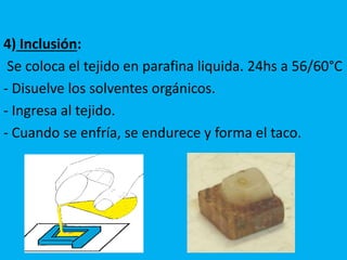4) Inclusión:
Se coloca el tejido en parafina liquida. 24hs a 56/60°C
- Disuelve los solventes orgánicos.
- Ingresa al tejido.
- Cuando se enfría, se endurece y forma el taco.
 