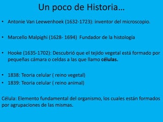 Un poco de Historia…
• Antonie Van Leewenhoek (1632-1723): inventor del microscopio.
• Marcello Malpighi (1628- 1694) Fundador de la histología
• Hooke (1635-1702): Descubrió que el tejido vegetal está formado por
pequeñas cámara o celdas a las que llamo células.
• 1838: Teoria celular ( reino vegetal)
• 1839: Teoria celular ( reino animal)
Célula: Elemento fundamental del organismo, los cuales están formados
por agrupaciones de las mismas.
 