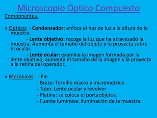 Microscopio Óptico Compuesto
Componentes.
» Opticos: - Condensador: enfoca el haz de luz a la altura de la
muestra.
- Lente objetivo: recoge la luz que ha atravesado la
muestra. Aumenta el tamaño del objeto y lo proyecta sobre
el ocular.
- Lente ocular: examina la imagen formada por la
lente objetivo, aumenta el tamaño de la imagen y la proyecta
a la retina del operador.
» Mecánicos: - Pie
- Brazo: Tornillo macro y micrometrico
- Tubo: Lente ocular y revolver
- Platina: se coloca el portaobjetos.
- Fuente luminosa: iluminación de la muestra.
 