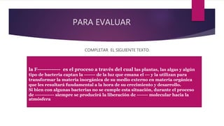 PARA EVALUAR
COMPLETAR EL SIGUIENTE TEXTO.
la F------------- es el proceso a través del cual las plantas, las algas y algún
tipo de bacteria captan la ------- de la luz que emana el --- y la utilizan para
transformar la materia inorgánica de su medio externo en materia orgánica
que les resultará fundamental a la hora de su crecimiento y desarrollo.
Si bien con algunas bacterias no se cumple esta situación, durante el proceso
de ------------ siempre se producirá la liberación de ------- molecular hacia la
atmósfera
 