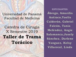 Universidad de Panamá
Facultad de Medicina
Cátedra de Cirugía
X Semestre 2019
Taller de Trama
Torácico
ESTUDIANTES:
 