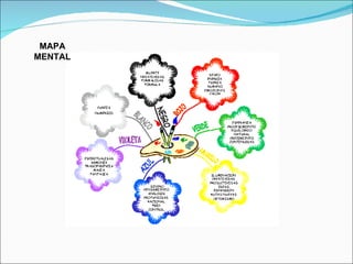 MAPA MENTAL 