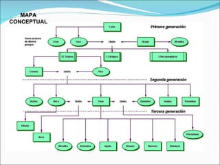MAPA CONCEPTUAL 