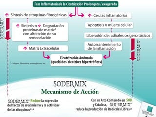 Curso Úlceras por Presión