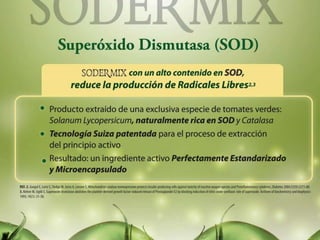 Curso Úlceras por Presión