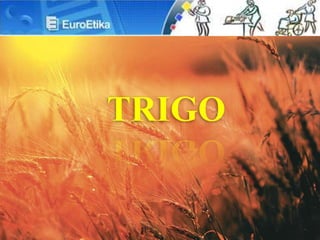 TRIGO
 
