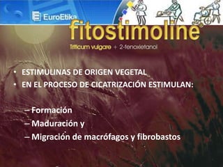 • ESTIMULINAS DE ORIGEN VEGETAL
• EN EL PROCESO DE CICATRIZACIÓN ESTIMULAN:
– Formación
– Maduración y
– Migración de macrófagos y fibrobastos
 