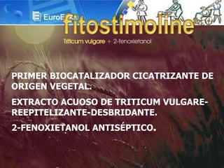 PRIMER BIOCATALIZADOR CICATRIZANTE DE
ORIGEN VEGETAL.
EXTRACTO ACUOSO DE TRITICUM VULGARE-
REEPITELIZANTE-DESBRIDANTE.
2-FENOXIETANOL ANTISÉPTICO.
 