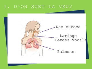 1. D’ON SURT LA VEU?
Pulmons
Cordes vocals
Nas o Boca
Laringe
 