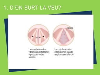 1. D’ON SURT LA VEU?
 