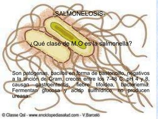 -SALMONELOSIS-¿Cómo pueden tratarse las infecciones con Salmonella?Las infecciones con Salmonella se resuelven de ordinario en 5 a 7 días y a menudo no requieren tratamiento, a menos que el paciente sufra una aguda deshidratación o la infección se propague desde los intestinos.