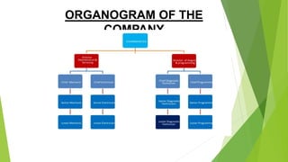 ORGANOGRAM OF THE
COMPANY
 