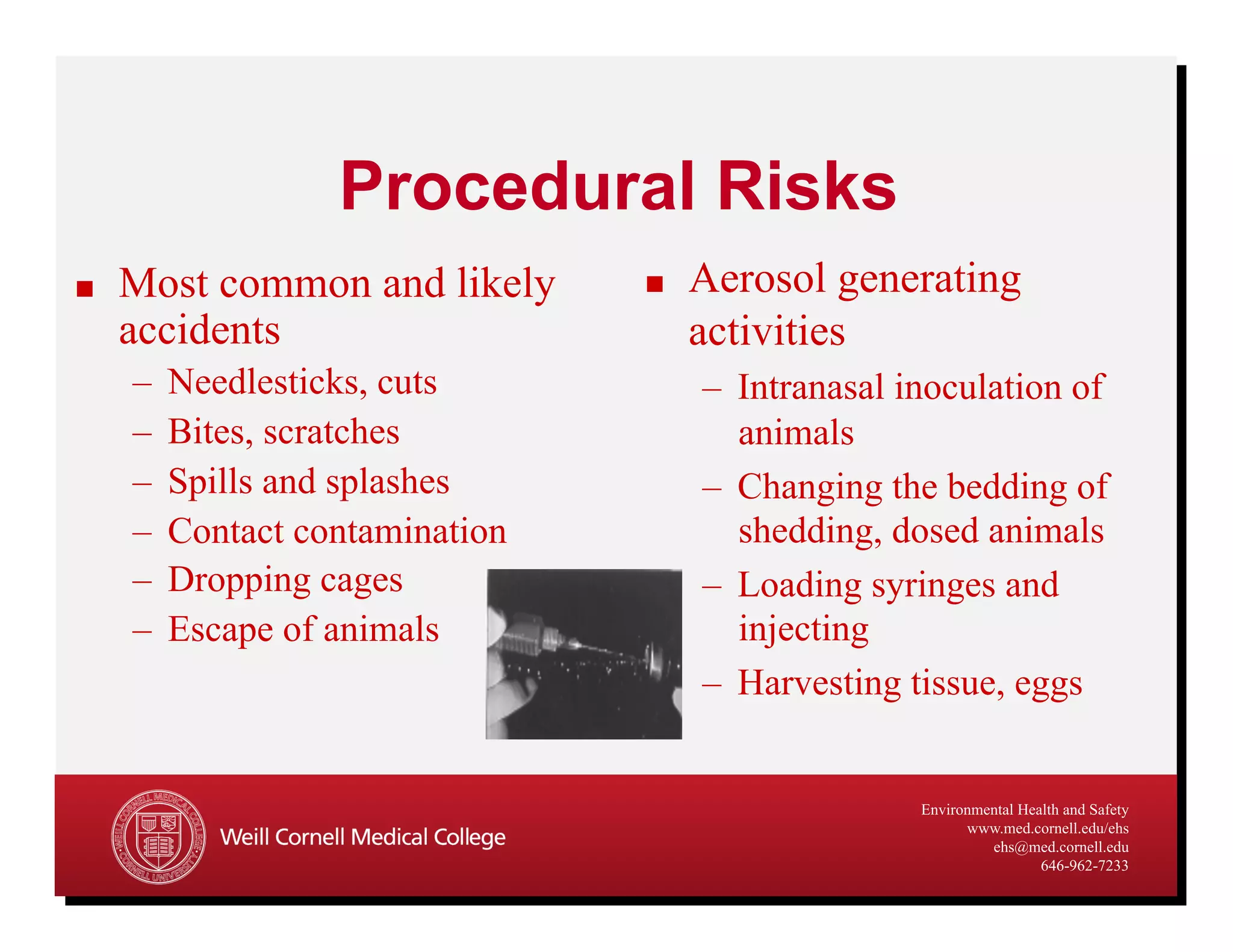 Talley Hazard Assessment Animals | PDF
