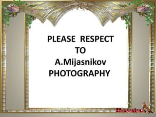 The Christmas Market is organized on the old Tallinn town hall square. The old town has the jubilee illumination. The Tallinn town hall is the oldest medieval town hall in Northern Europe which still exists. PLEASE  RESPECT TO A.MijasnikovPHOTOGRAPHY 