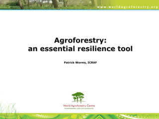 Agroforestry:
an essential resilience tool
Patrick Worms, ICRAF
 