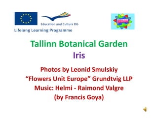 Tallinn Botanical Garden
Iris
Photos by Leonid Smulskiy
“Flowers Unit Europe” Grundtvig LLP
Music: Helmi - Raimond Valgre
(by Francis Goya)
 