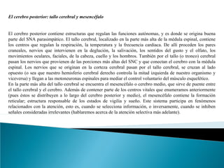 El cerebro posterior: tallo cerebral y mesencéfalo


El cerebro posterior contiene estructuras que regulan las funciones autónomas, y es donde se origina buena
parte del SNA parasimpático. El tallo cerebral, localizado en la parte más alta de la médula espinal, contiene
los centros que regulan la respiración, la temperatura y la frecuencia cardiaca. De allí proceden los pares
craneales, nervios que intervienen en la deglución, la salivación, los sentidos del gusto y el olfato, los
movimientos oculares, faciales, de la cabeza, cuello y los hombros. También por el tallo (o tronco) cerebral
pasan los nervios que provienen de las porciones más altas del SNC y que conectan el cerebro con la médula
espinal. Los nervios que se originan en la corteza cerebral pasan por el tallo cerebral, se cruzan al lado
opuesto (o sea que nuestro hemisferio cerebral derecho controla la mitad izquierda de nuestro organismo y
viceversa) y llegan a las motoneuronas espinales para mediar el control voluntario del músculo esquelético.
En la parte más alta del tallo cerebral se encuentra el mesencéfalo o cerebro medio, que sirve de puente entre
el tallo cerebral y el cerebro. Además de contener parte de los centros vitales que enumeramos anteriormente
(pues éstos se distribuyen a lo largo del cerebro posterior y medio), el mesencéfalo contiene la formación
reticular; estructura responsable de los estados de vigilia y sueño. Este sistema participa en fenómenos
relacionados con la atención, esto es, cuando se selecciona información, o inversamente, cuando se inhiben
señales consideradas irrelevantes (hablaremos acerca de la atención selectiva más adelante).
 