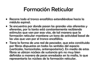 • Recorre todo el tronco encefálico extendiéndose hacia la
médula espinal.
• Se encuentra por donde pasan las grandes vías aferentes y
eferentes, por lo tanto está constantemente recibiendo
estímulos que van por esas vías, de tal manera que la
formación reticular mantiene un tono de actividad basal de
las vías que van por el tronco encefálico.
• Tiene la forma de una red de pescador, que esta constituida
por fibras dispuestas en todos los sentidos del espacio
(verticales, horizontales, anteroposterior). En medio de estas
fibras se ubican núcleos de sustancia gris no muy bien
definidos a manera de peces enredados en la malla, lo que
representaría los núcleos de la formación reticular.
Formación Reticular
 