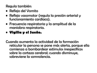 Regula también:
• Reflejo del Vomito
• Reflejo vasomotor (regula la presión arterial y
funcionamiento cardíaco).
• Frecuencia respiratoria y la amplitud de la
maniobra respiratoria.
• Vigilia y el Sueño.
Cuando aumenta la actividad de la formación
reticular la persona se pone más alerta, porque ella
comienza a bombardear estímulos inespecíficos
sobre la corteza cerebral; cuando disminuye,
sobreviene la somnolencia.
 