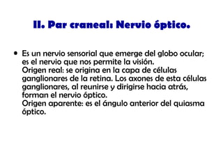 II. Par craneal: Nervio óptico.
• Es un nervio sensorial que emerge del globo ocular;
es el nervio que nos permite la visión.
Origen real: se origina en la capa de células
ganglionares de la retina. Los axones de esta células
ganglionares, al reunirse y dirigirse hacia atrás,
forman el nervio óptico.
Origen aparente: es el ángulo anterior del quiasma
óptico.
 