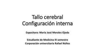 Tallo cerebral
Configuración interna
Expositora: María José Morales Ojeda
Estudiante de Medicina III semestre
Corporación universitaria Rafael Núñez
 