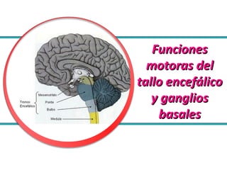 FuncionesFunciones
motoras delmotoras del
tallo encefálicotallo encefálico
y gangliosy ganglios
basalesbasales
 