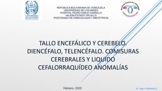 TALLO ENCEFÁLICO Y CEREBELO.
DIENCÉFALO, TELENCÉFALO. COMISURAS
CEREBRALES Y LIQUIDO
CEFALORRAQUÍDEO ANOMALÍAS
REPUBLICA BOLIVARIANA DE VENEZUELA
UNIVERSIDAD DE LOS ANDES
HOSPITAL PEDRO EMILIO CARRILLO
VALERA ESTADO TRUJILLO
POSTGRADO DE GINECOLOGIA Y OBSTETRICIA
Dr. Lugo V. Wilfredo D.
Febrero, 2020
 