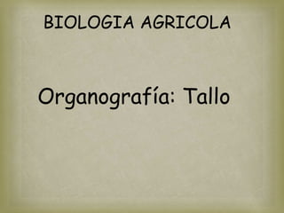 BIOLOGIA AGRICOLA



Organografía: Tallo
 