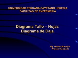 UNIVERSIDAD PERUANA CAYETANO HEREDIA FACULTAD DE ENFERMERIA Diagrama Tallo – Hojas Diagrama de Caja Mg. Yesenia Musayón Profesor Asociado 
