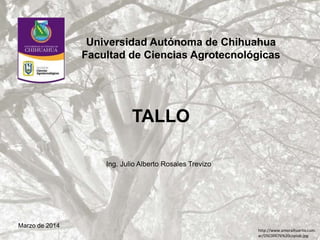 Universidad Autónoma de Chihuahua
Facultad de Ciencias Agrotecnológicas
TALLO
Ing. Julio Alberto Rosales Trevizo
Marzo de 2014
http://www.amoralhuerto.com.
ar/DSC00076%20copiab.jpg
 