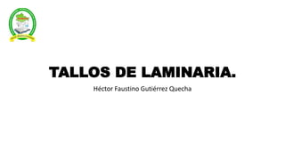 TALLOS DE LAMINARIA.
Héctor Faustino Gutiérrez Quecha
 