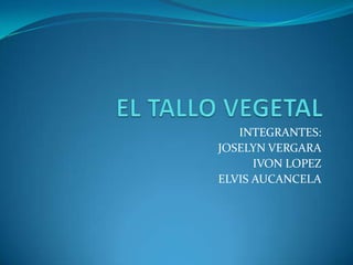 INTEGRANTES:
JOSELYN VERGARA
IVON LOPEZ
ELVIS AUCANCELA
 