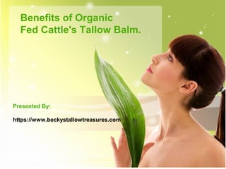 Benefits of Organic
Fed Cattle's Tallow Balm.
Presented By:
https://www.beckystallowtreasures.com
 